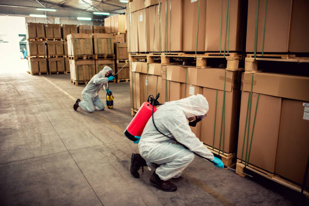Best Best Pest Control Companies  in Silver Springs, NV