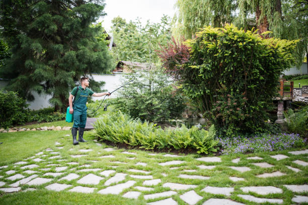 Best Wasp Removal Services  in Silver Springs, NV